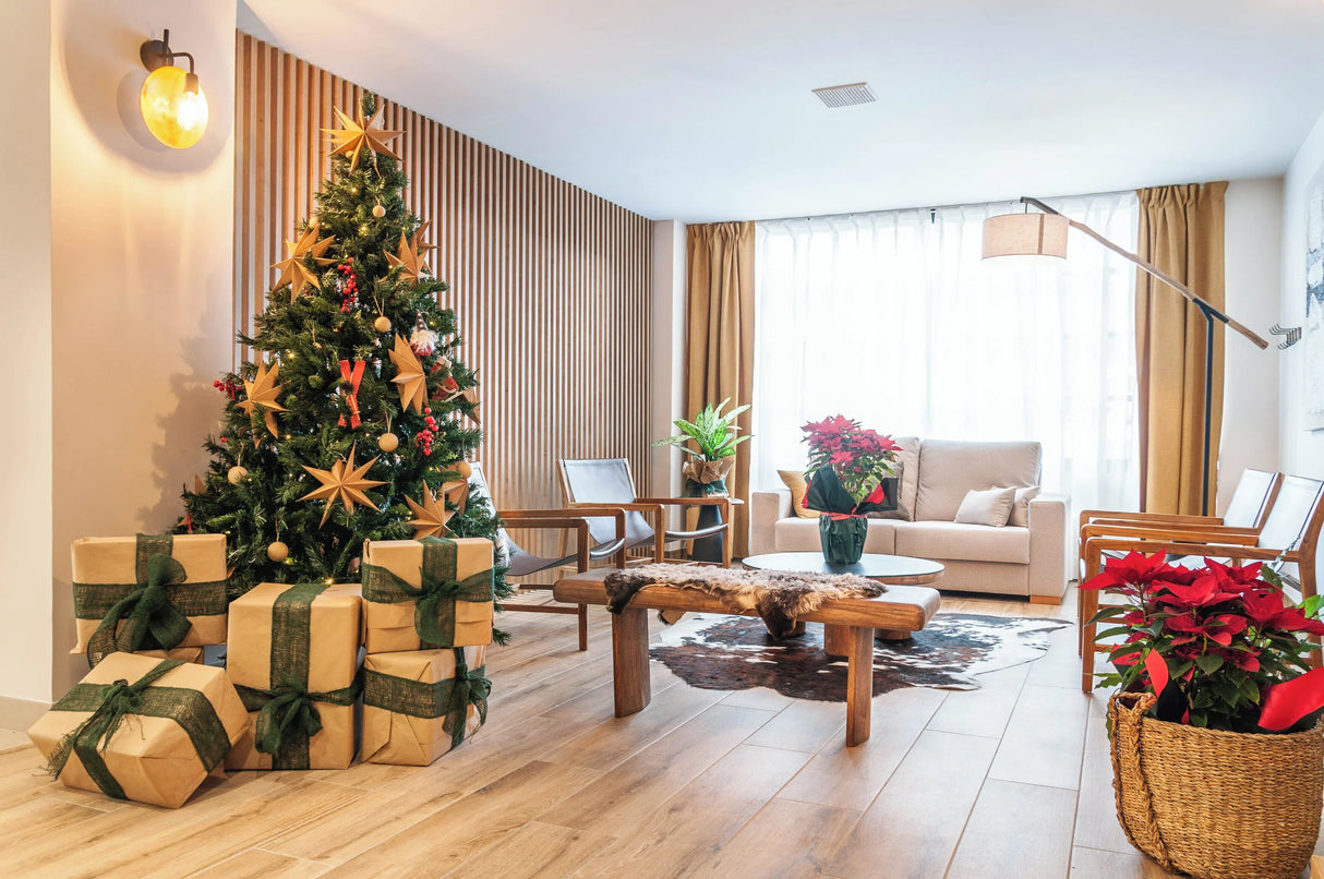 Hotel Viella - - Caranva