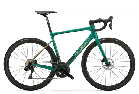 Alquiler Bici Carretera Málaga - Carretera / Wilier Garda (Shimano 105) - Caranva